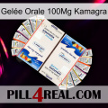 Gelée Orale 100Mg Kamagra kamagra1